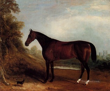 horse Painting - Father Of Champions horse John Ferneley Snr